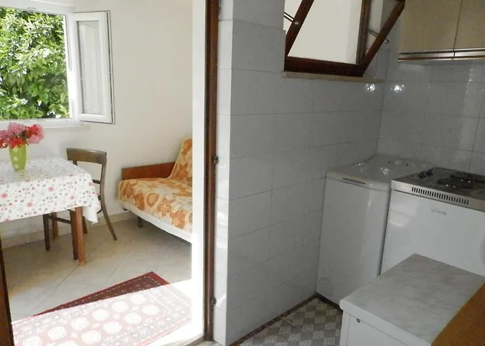 Hortenzia Ντουμπρόβνικ