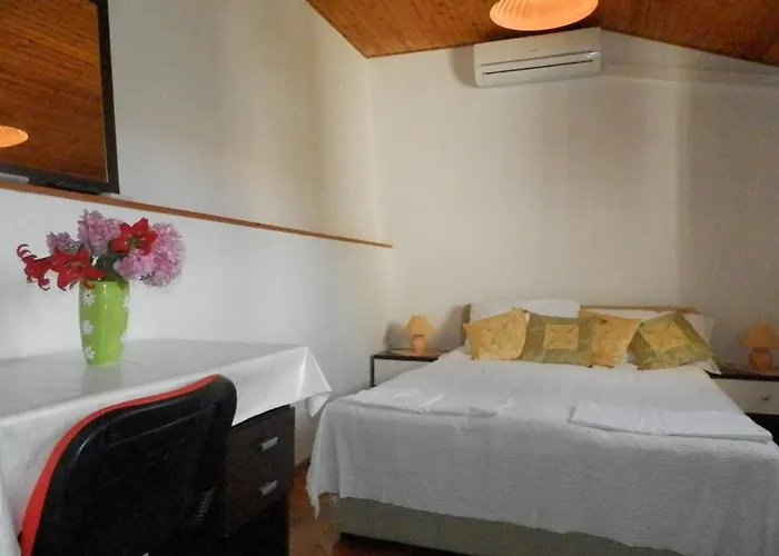 Hortenzia * Ντουμπρόβνικ