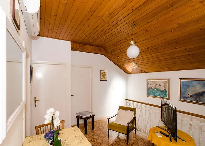 Hortenzia Ντουμπρόβνικ