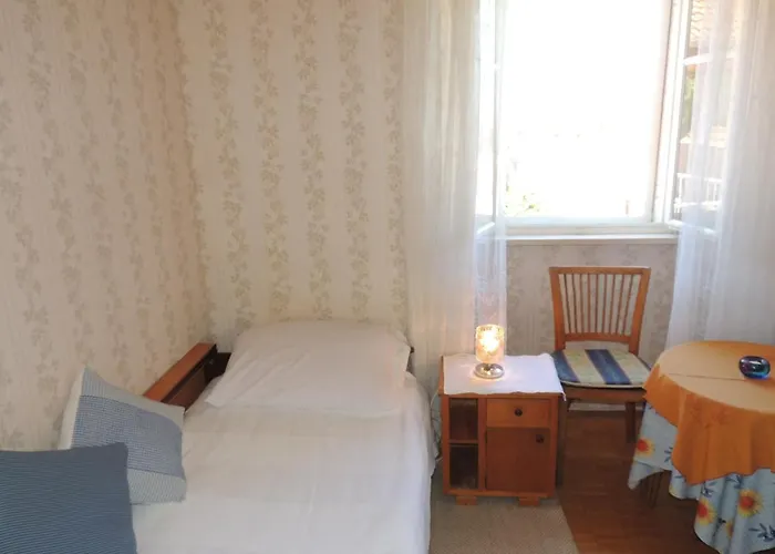 Hortenzia Ντουμπρόβνικ