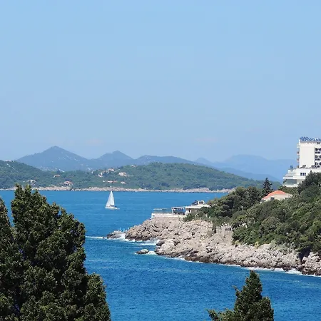 Hortenzia * Дубровник